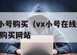 国内vx小号购买（vx小号在线购买）   vx小号购买网站