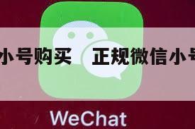 国内vx小号购买   正规微信小号购买平台