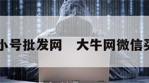 vx小号批发网   大牛网微信买卖