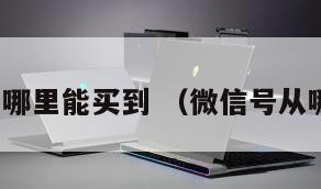 微信号哪里能买到 （微信号从哪能买）