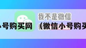 微信小号购买网 （微信小号购买批发）